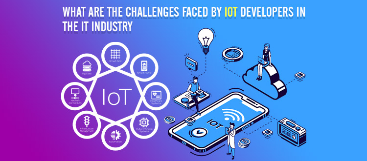 What are the Challenges Faced by IoT Developers in the IT Industry?